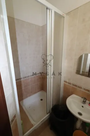 Pronájem skladu, České Budějovice - České Budějovice 1, Hradební, 122 m2