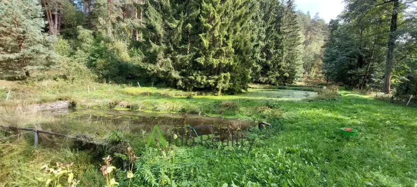Prodej obchodního prostoru, Bohdalovice - Slubice, 200 m2