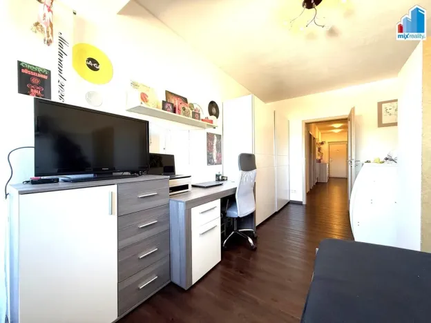 Pronájem bytu 3+kk, Plzeň, U Velkého rybníka, 98 m2