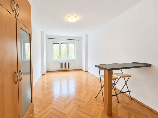 Pronájem bytu 1+kk, Praha - Žižkov, Biskupcova, 30 m2