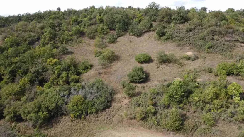 Prodej pole, Řehlovice - Stadice, 22441 m2