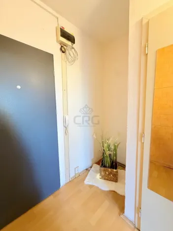 Prodej bytu 1+kk, Brno - Bohunice, Okrouhlá, 33 m2