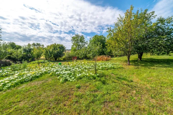 Prodej pozemku pro bydlení, Bařice-Velké Těšany, 1548 m2