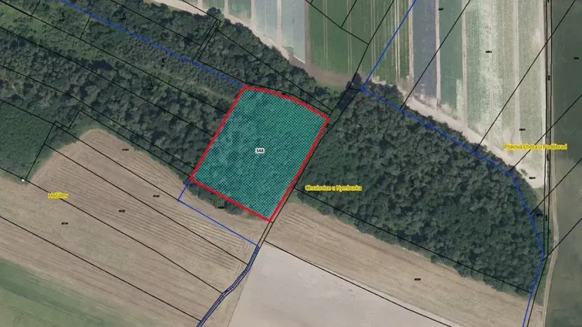 Prodej lesa, Kovanice, 8552 m2