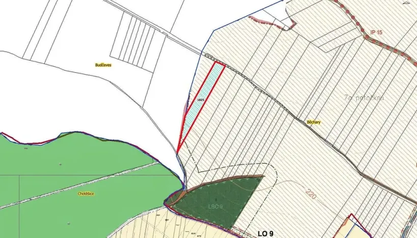 Prodej pole, Běchary, 12202 m2