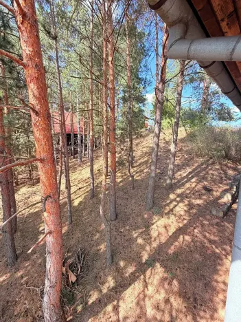 Prodej - jiné, Trnava, 107 m2