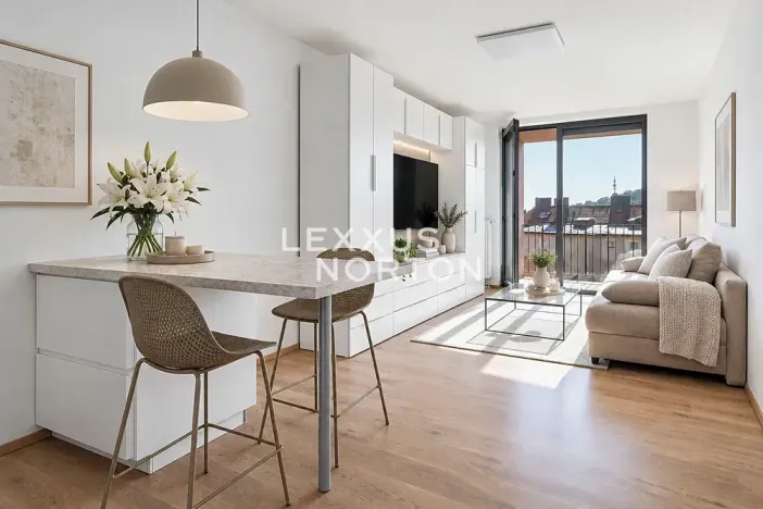 Prodej bytu 1+kk, Praha - Smíchov, Holečkova, 30 m2