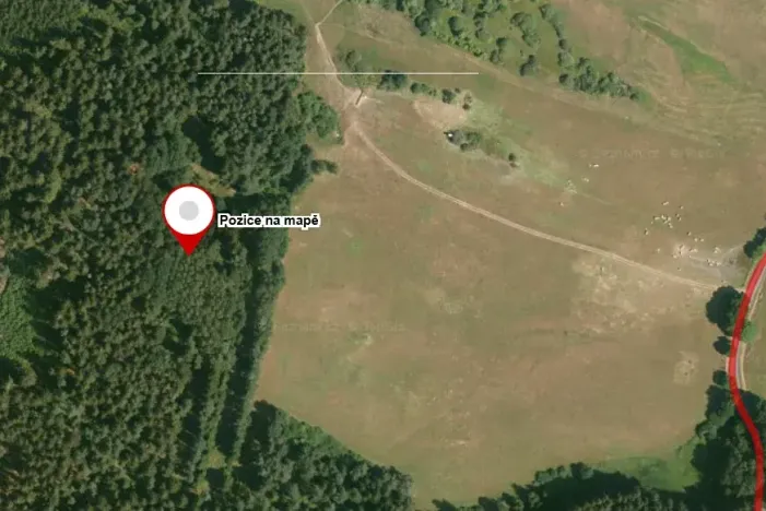 Dražba lesa, Dlouhý Újezd, 7291 m2
