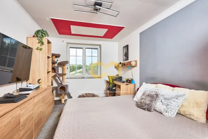 Prodej obchodního prostoru, Písek, U Hřebčince, 430 m2