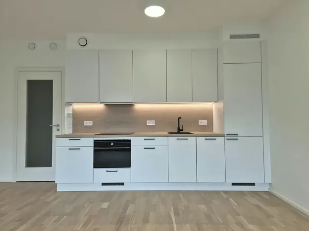 Prodej bytu 1+kk, Praha - Žižkov, Kaplířova, 44 m2