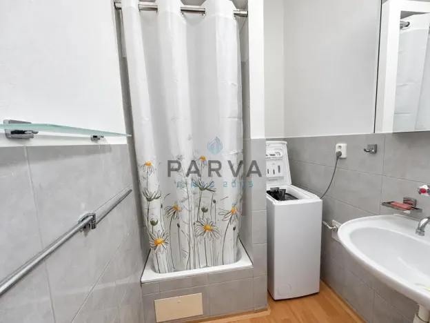 Pronájem bytu 1+kk, Plzeň - Severní Předměstí, Lipová, 26 m2