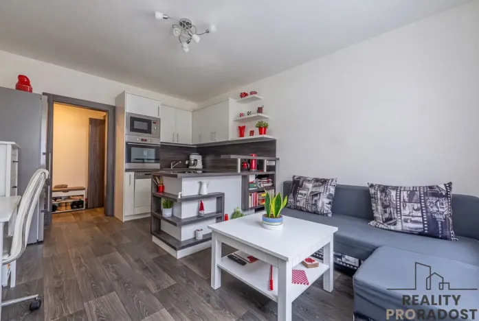 Prodej bytu 2+kk, Starý Plzenec, Herejkova, 41 m2