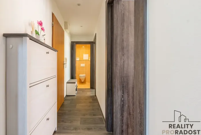 Prodej bytu 2+kk, Starý Plzenec, Herejkova, 41 m2