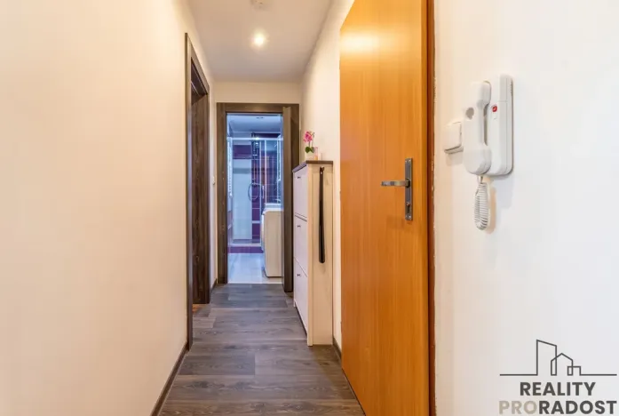 Prodej bytu 2+kk, Starý Plzenec, Herejkova, 41 m2