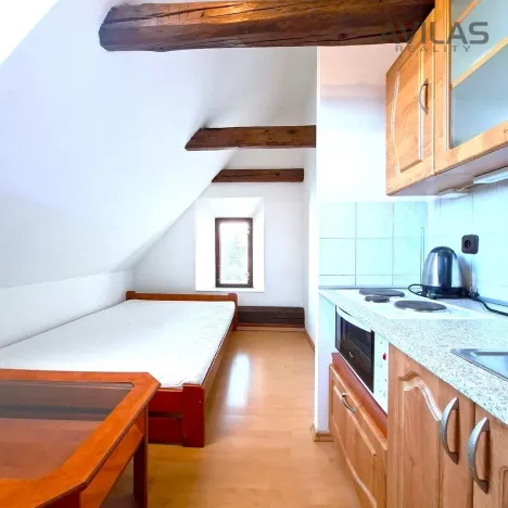 Pronájem bytu 1+kk, Benešov - Bedrč, 24 m2