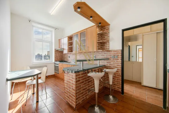 Pronájem bytu 1+1, Plzeň, Plzenecká, 42 m2