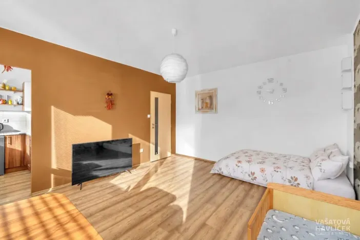 Prodej bytu 1+kk, Hradec Králové, Na Kotli, 28 m2
