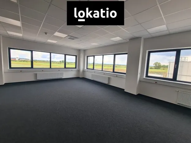 Pronájem skladu, Lužec nad Vltavou, 6000 m2