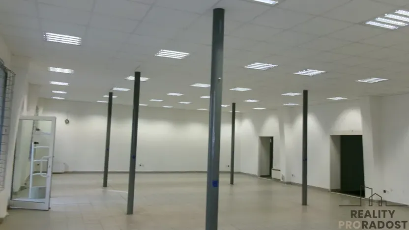 Prodej obchodního prostoru, Brno, Vodní, 400 m2