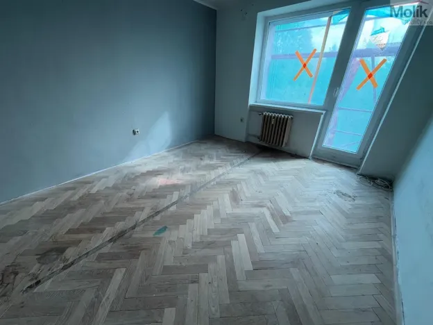 Prodej bytu 3+1, Litvínov - Horní Litvínov, U Zámeckého parku, 58 m2