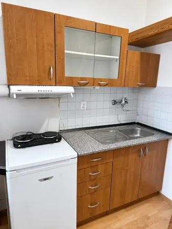 Pronájem bytu 1+kk, Praha - Břevnov, Bělohorská, 13 m2