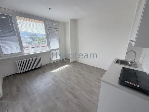 Prodej bytu 1+1, Ústí nad Labem - Neštěmice, Sibiřská, 42 m2