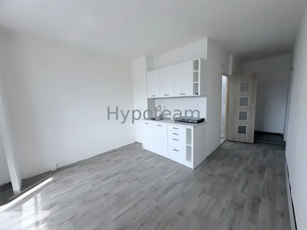 Prodej bytu 1+1, Ústí nad Labem - Neštěmice, Sibiřská, 42 m2