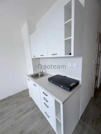 Prodej bytu 1+1, Ústí nad Labem - Neštěmice, Sibiřská, 42 m2