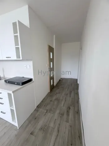 Prodej bytu 1+1, Ústí nad Labem - Neštěmice, Sibiřská, 42 m2