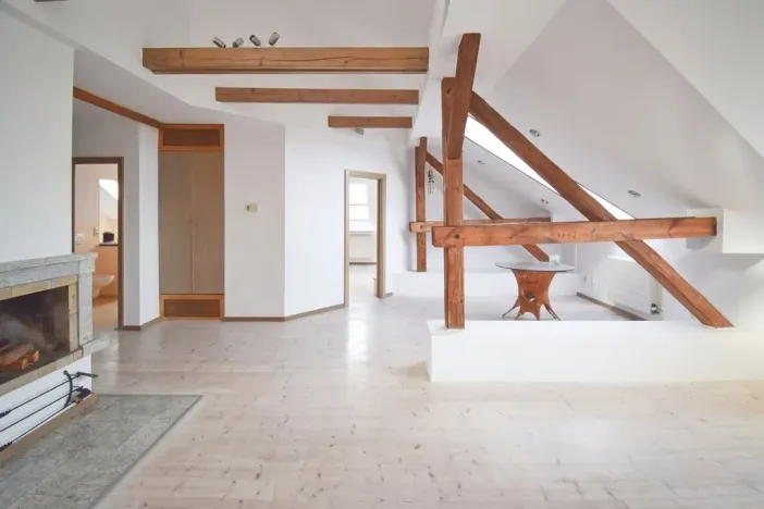 Prodej atypického bytu, Plzeň - Severní Předměstí, Křížkova, 68 m2