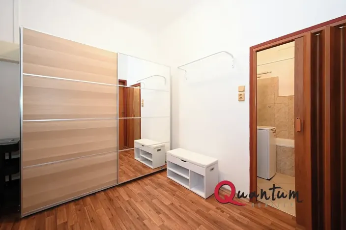Pronájem bytu 2+kk, Praha - Žižkov, Lucemburská, 50 m2