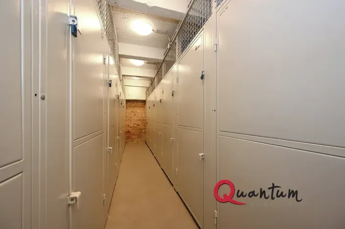 Pronájem bytu 2+kk, Praha - Žižkov, Lucemburská, 50 m2