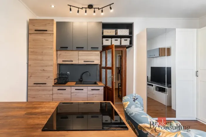Prodej bytu 1+kk, Praha - Vinohrady, Na Folimance, 28 m2