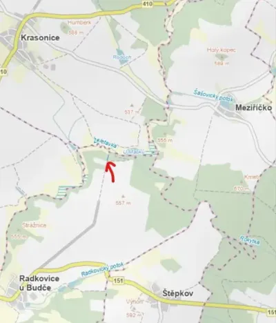 Prodej lesa, Radkovice u Budče, 757 m2