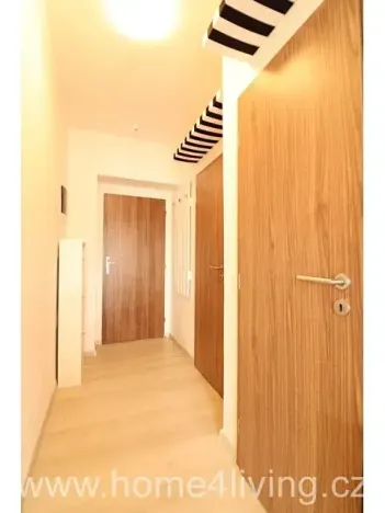 Pronájem bytu 2+kk, Brno, Tábor, 52 m2