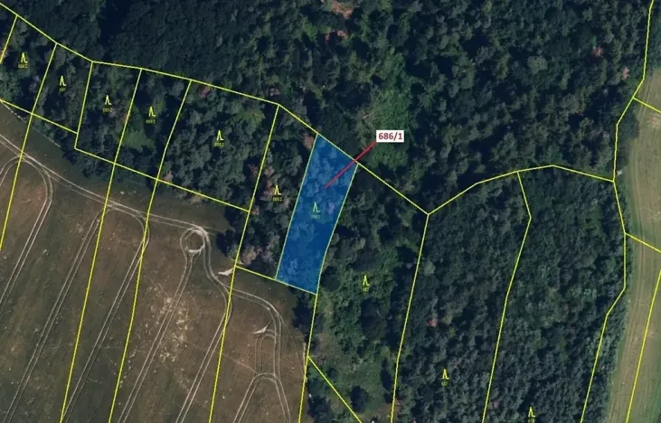 Dražba lesa, Přemyslovice, 1280 m2