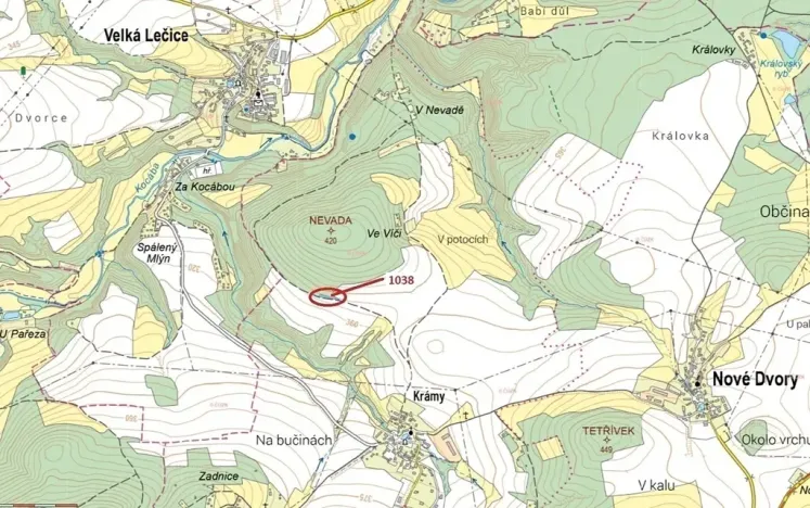 Dražba lesa, Nové Dvory, 953 m2