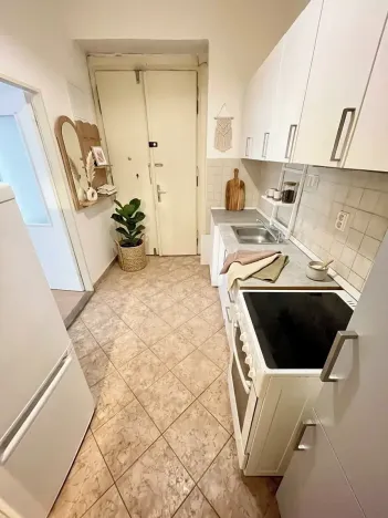 Pronájem bytu 1+kk, Praha - Vinohrady, Polská, 53 m2