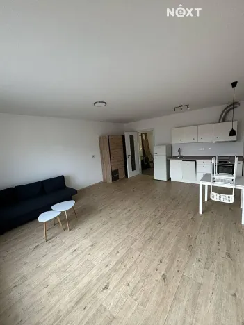 Pronájem bytu 1+kk, České Budějovice, Chelčického, 38 m2