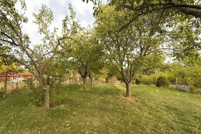 Prodej rodinného domu, Nové Syrovice, 77 m2
