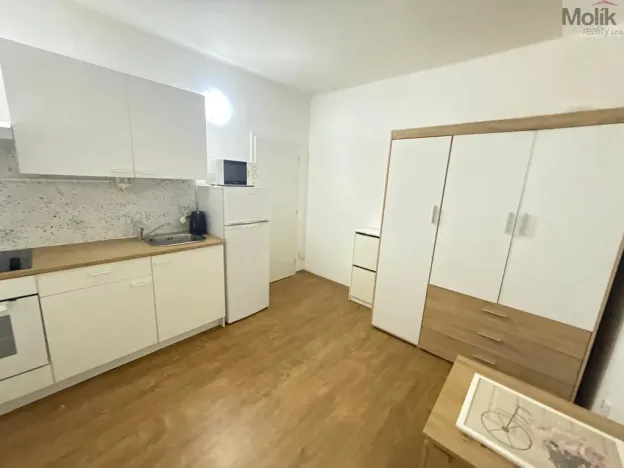 Pronájem bytu 1+kk, Most, Slovenského národního povstání, 22 m2