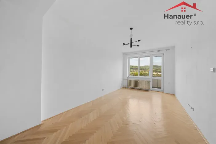 Prodej bytu 3+1, Děčín - Děčín XXXII-Boletice nad Labem, Přímá, 63 m2