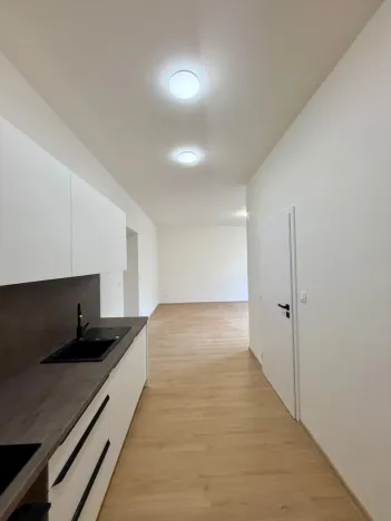 Prodej bytu 2+kk, Praha - Vysočany, Na břehu, 57 m2