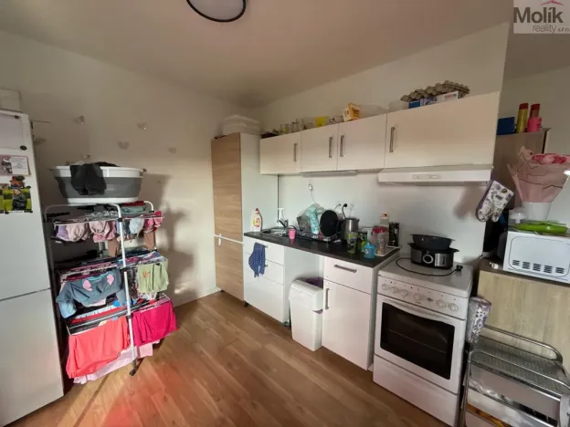 Pronájem bytu 3+1, Most, Růžová, 56 m2