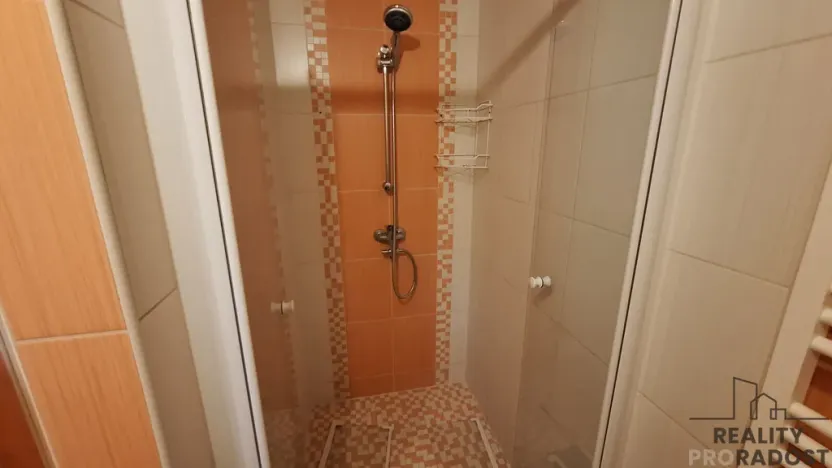 Pronájem bytu 2+1, Ústí nad Labem, Alešova, 49 m2