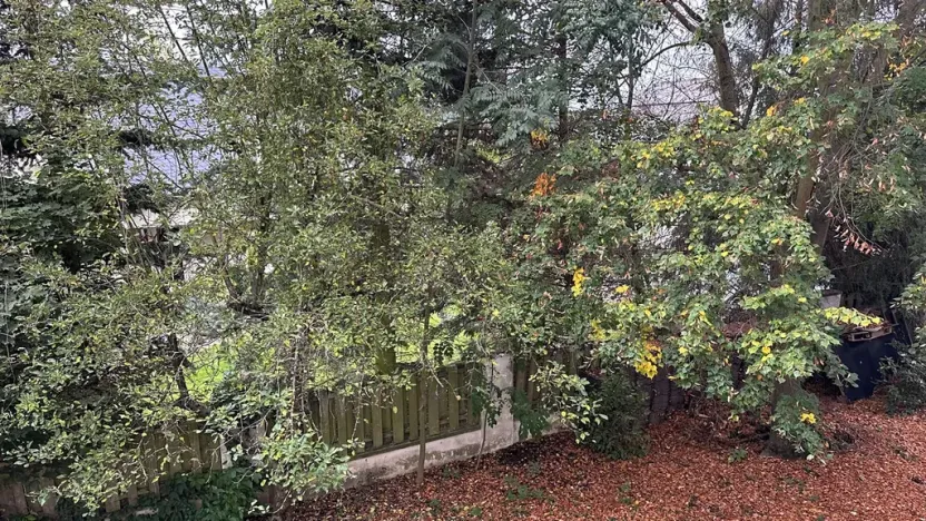 Pronájem bytu 1+kk, Průhonice, U Křížku, 35 m2
