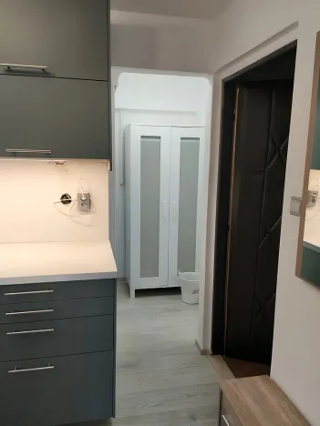 Pronájem bytu 1+kk, Brno, Brigádnická, 20 m2