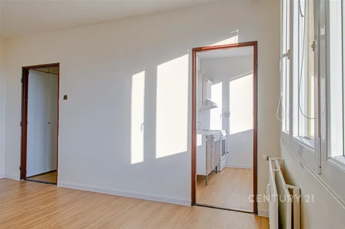 Pronájem bytu 1+1, Most, Růžová, 26 m2