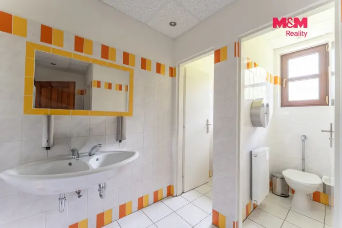 Prodej rodinného domu, Horní Slavkov, Ke Koupališti, 443 m2