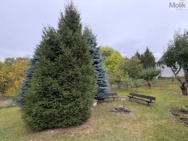 Prodej chaty, Nepomyšl - Nová Ves, 102 m2